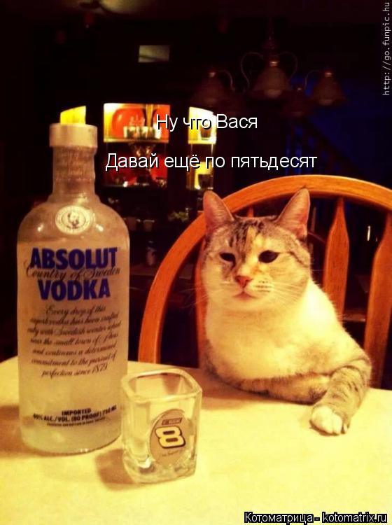 Котоматрица: Ну что Вася  Давай ещё по пятьдесят