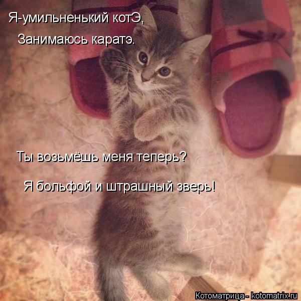 Котоматрица: Я-умильненький котЭ, Занимаюсь каратэ. Ты возьмёшь меня теперь? Я больфой и штрашный зверь!