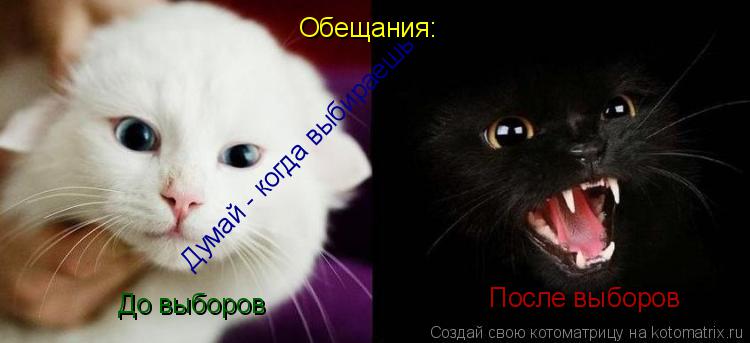 Котоматрица: Обещания: До выборов После выборов Думай - когда выбираешь