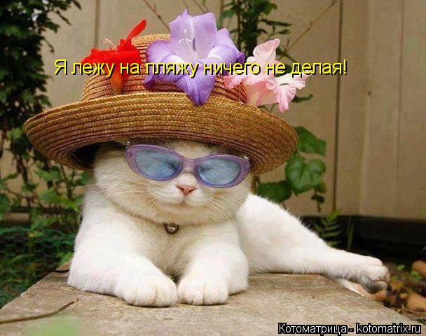 Я лежу на пляжу ничего не делая!... Котоматрица: Я лежу на пляжу ничего не делая!