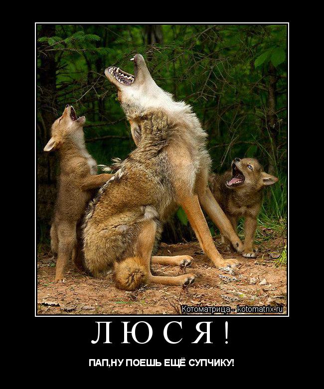 ЛЮСЯ! ПАП,НУ ПОЕШЬ ЕЩЁ СУПЧИКУ!... Котоматрица: ЛЮСЯ! ПАП,НУ ПОЕШЬ ЕЩЁ СУПЧИКУ!