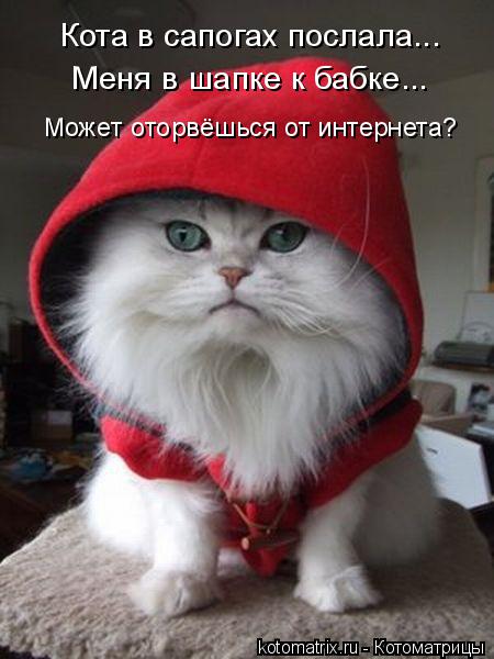 Котоматрица: Кота в сапогах послала... Меня в шапке к бабке... Может оторвёшься от интернета?