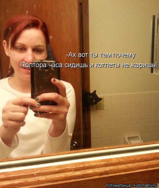 -Ах вот ты там почему Полтора часа сидишь и котлеты не жаришь!... Котоматрица: -Ах вот ты там почему Полтора часа сидишь и котлеты не жаришь!