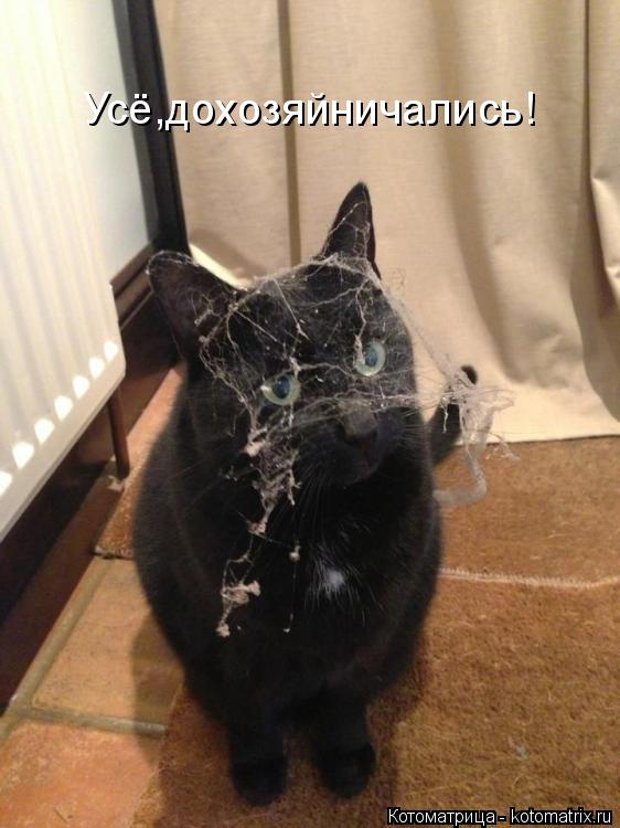 Усё,дохозяйничались!... Котоматрица: Усё,дохозяйничались!