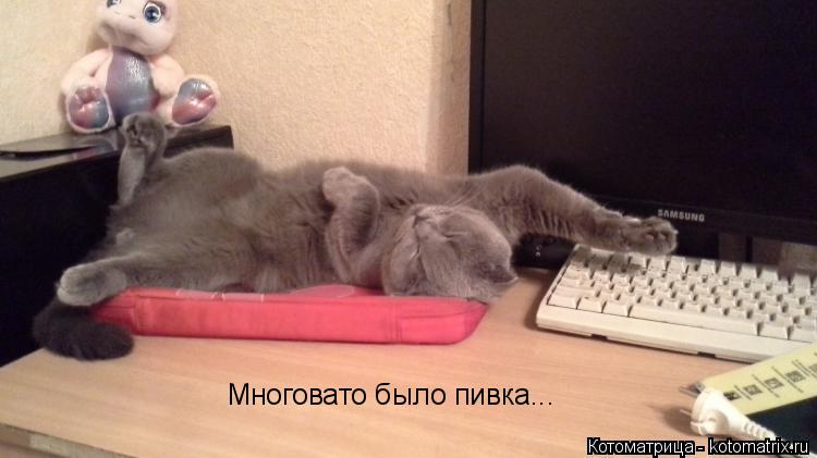 Котоматрица: Многовато было пивка...