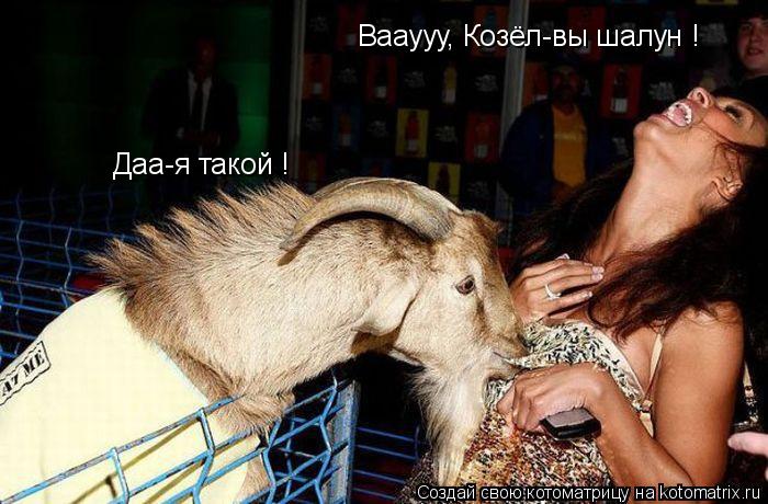 Котоматрица: Вааууу, Козёл-вы шалун ! Даа-я такой !