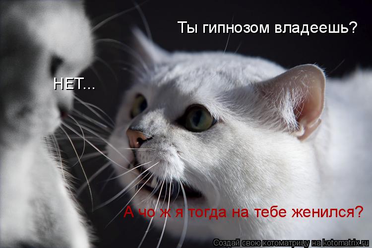 Ты гипнозом владеешь? НЕТ... А чо ж я тогда на тебе женился?... Котоматрица: Ты гипнозом владеешь? НЕТ... А чо ж я тогда на тебе женился?