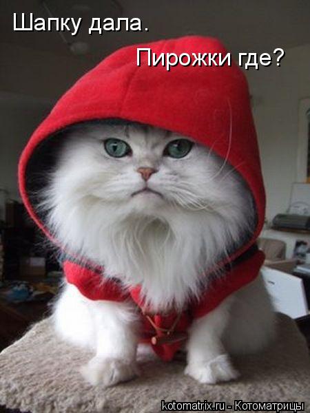 Котоматрица: Шапку дала. Пирожки где?