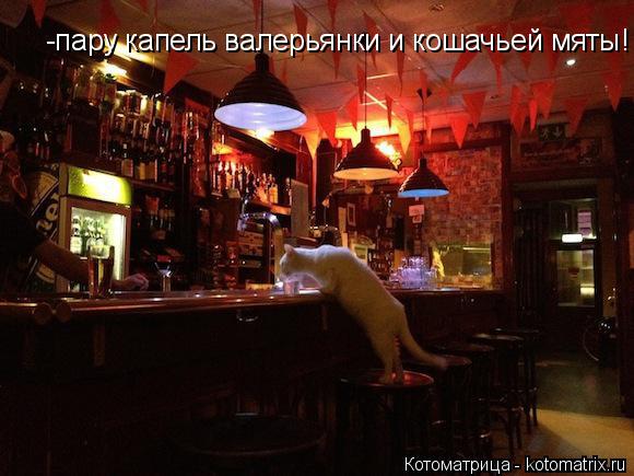 -пару капель валерьянки и кошачьей мяты!... Котоматрица: -пару капель валерьянки и кошачьей мяты!