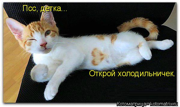 Псс, детка... Открой холодильничек.... Котоматрица: Псс, детка... Открой холодильничек.