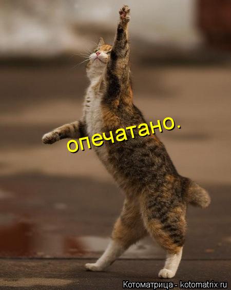 Котоматрица: опечатано.
