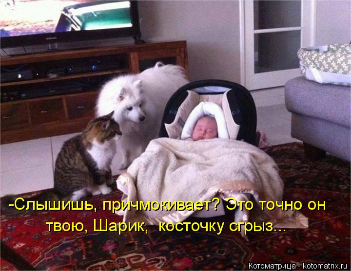 -Слышишь, причмокивает? Это точно он твою, Шарик, косточку сгрыз...... Котоматрица: -Слышишь, причмокивает? Это точно он твою, Шарик, косточку сгрыз...