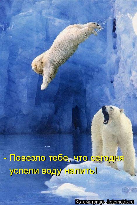 Котоматрица: - Повезло тебе, что сегодня  успели воду налить!