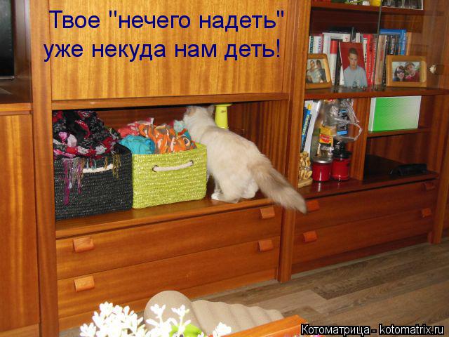 Твое ''нечего надеть'' уже некуда нам деть!... Котоматрица: Твое ''нечего надеть'' уже некуда нам деть!