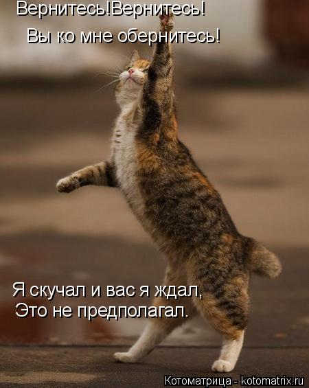 Вернитесь!Вернитесь! Вы ко мне обернитесь! Я скучал и вас я ждал, Это не предполагал.... Котоматрица: Вернитесь!Вернитесь! Вы ко мне обернитесь! Я скучал и вас я ждал, Это не предполагал.