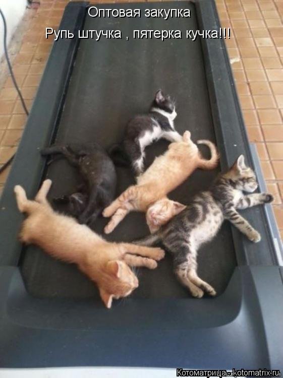 Оптовая закупка Рупь штучка , пятерка кучка!!!... Котоматрица: Оптовая закупка Рупь штучка , пятерка кучка!!!