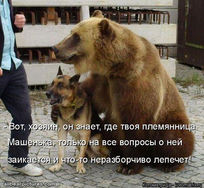 Котоматрица: - Вот, хозяин, он знает, где твоя племянница Машенька, только на все вопросы о ней  заикается и что-то неразборчиво лепечет!
