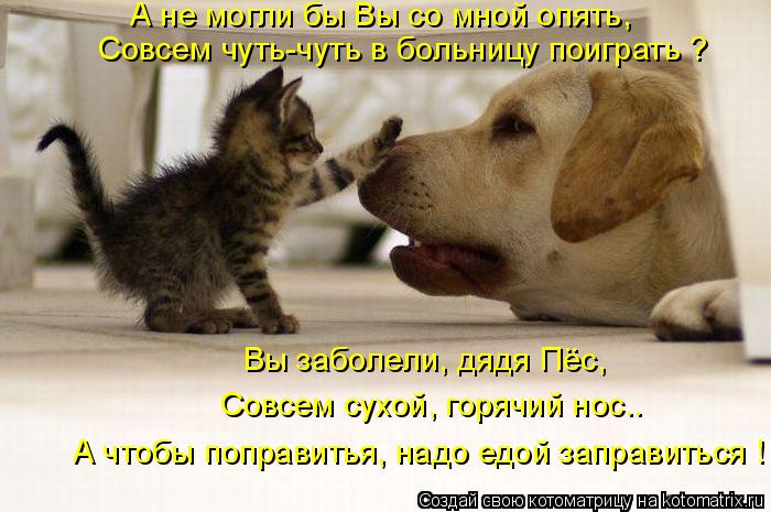 А не могли бы Вы со мной опять, Совсем чуть-чуть в больницу поиграть ? Вы заболели, дядя Пёс, Совсем... Котоматрица: А не могли бы Вы со мной опять, Совсем чуть-чуть в больницу поиграть ? Вы заболели, дядя Пёс, Совсем сухой, горячий нос.. А чтобы поправитья, на