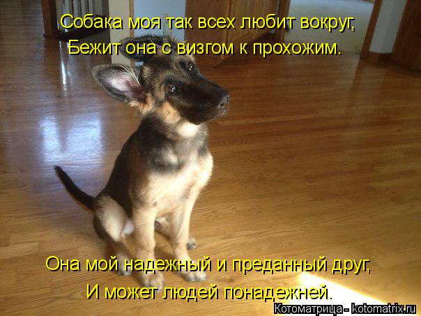 Собака моя так всех любит вокруг, Бежит она с визгом к прохожим. Она мой надежный и преданный друг, И... Котоматрица: Собака моя так всех любит вокруг, Бежит она с визгом к прохожим. Она мой надежный и преданный друг, И может людей понадежней.