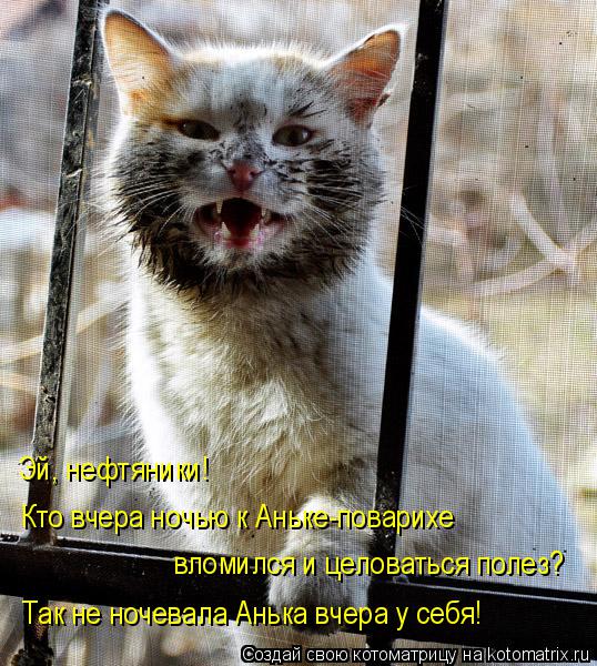 Котоматрица: Эй, нефтяники! Кто вчера ночью к Аньке-поварихе  вломился и целоваться полез? Так не ночевала Анька вчера у себя!