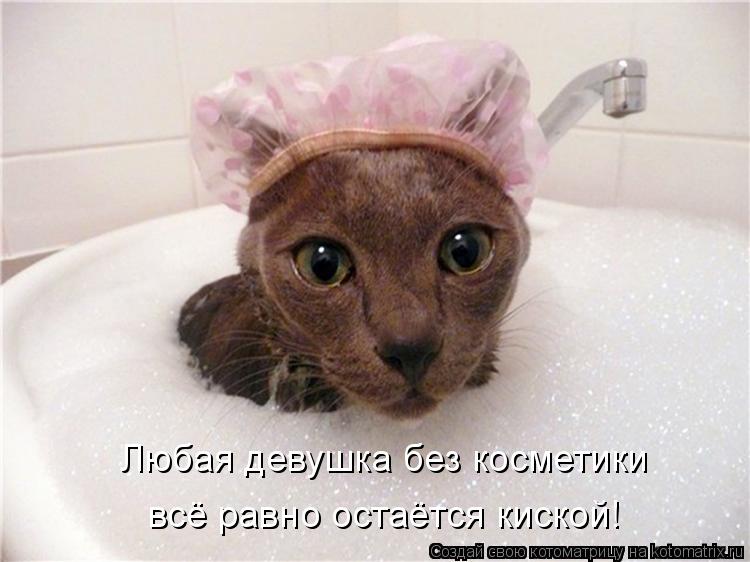 Любая девушка без косметики всё равно остаётся киской!... Котоматрица: Любая девушка без косметики всё равно остаётся киской!