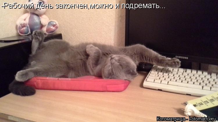 -Рабочий день закончен,можно и подремать...... Котоматрица: -Рабочий день закончен,можно и подремать...