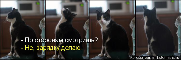 Котоматрица: - По сторонам смотришь? - Не, зарядку делаю.