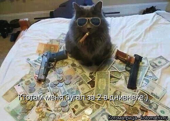 Ктотам меня ругал за 2 в днивнеке:)... Котоматрица: Ктотам меня ругал за 2 в днивнеке:)