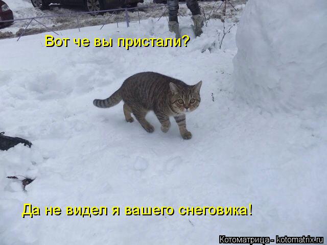 Котоматрица: Да не видел я вашего снеговика! Вот че вы пристали?