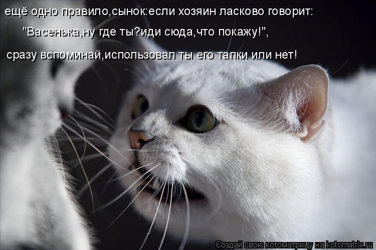 Котоматрица: ещё одно правило,сынок:если хозяин ласково говорит: "Васенька,ну где ты?иди сюда,что покажу!", сразу вспоминай,использовал ты его тапки или н