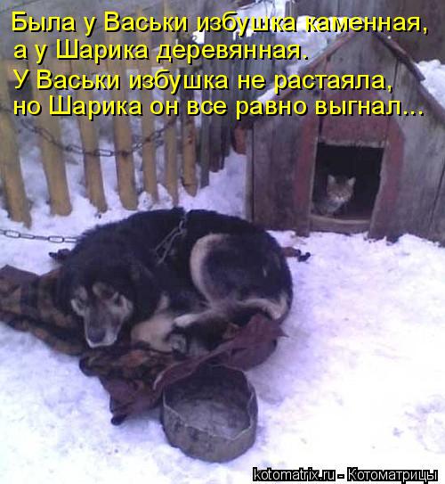 Была у Васьки избушка каменная, а у Шарика деревянная. У Васьки избушка не растаяла, но Шарика он вс... Котоматрица: Была у Васьки избушка каменная, а у Шарика деревянная. У Васьки избушка не растаяла, но Шарика он все равно выгнал...
