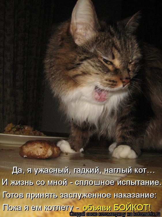 Да, я ужасный, гадкий, наглый кот… И жизнь со мной - сплошное испытание… Готов принять заслуженное на... Котоматрица: Да, я ужасный, гадкий, наглый кот… И жизнь со мной - сплошное испытание… Готов принять заслуженное наказание: Пока я ем котлету - объяви БОЙ