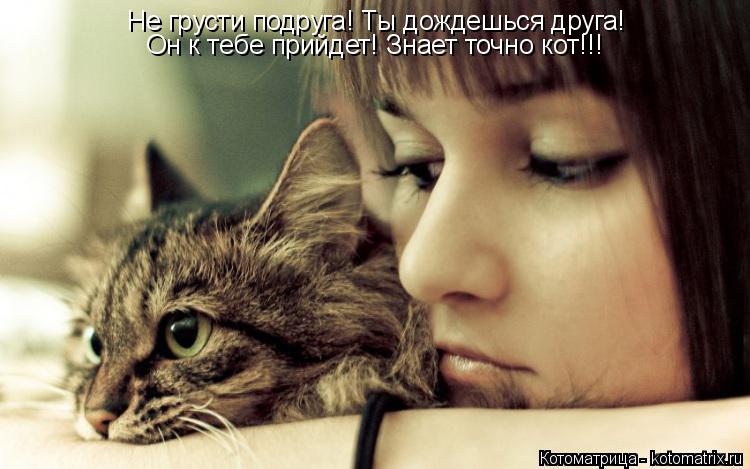 Не грусти подруга! Ты дождешься друга! Он к тебе прийдет! Знает точно кот!!!... Котоматрица: Не грусти подруга! Ты дождешься друга! Он к тебе прийдет! Знает точно кот!!!