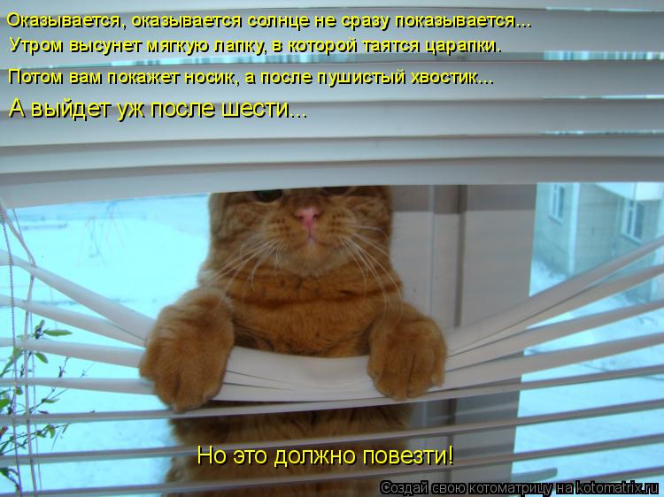 Котоматрица: Оказывается, оказывается солнце не сразу показывается... Утром высунет мягкую лапку, в которой таятся царапки. Потом вам покажет носик, а по