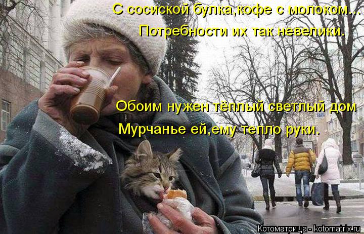 С сосиской булка,кофе с молоком... Потребности их так невелики. Обоим нужен тёплый светлый дом Мурчан... Котоматрица: С сосиской булка,кофе с молоком... Потребности их так невелики. Обоим нужен тёплый светлый дом Мурчанье ей,ему тепло руки.