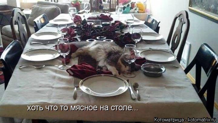 хоть что то мясное на столе...... Котоматрица: хоть что то мясное на столе...