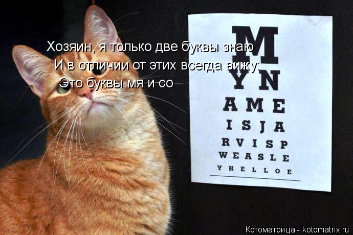Хозяин, я только две буквы знаю И в отличии от этих всегда вижу: Это буквы мя и со... Котоматрица: Хозяин, я только две буквы знаю И в отличии от этих всегда вижу: Это буквы мя и со