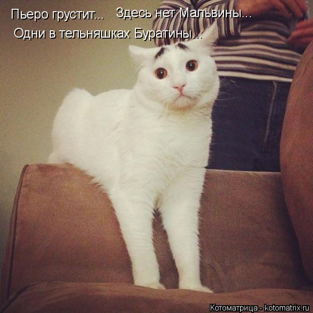 Пьеро грустит... Здесь нет Мальвины... Одни в тельняшках Буратины...... Котоматрица: Пьеро грустит... Здесь нет Мальвины... Одни в тельняшках Буратины...