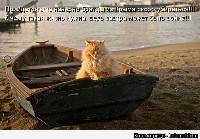 Прийдется мне наверно братцы из Крыма скоро убираться!!! К чему такая жизнь нужна, ведь завтра может ... Котоматрица: Прийдется мне наверно братцы из Крыма скоро убираться!!! К чему такая жизнь нужна, ведь завтра может быть война!!!