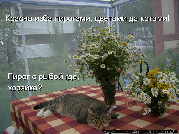 Котоматрица: Красна изба пирогами, цветами да котами! Пирог с рыбой где, хозяйка?