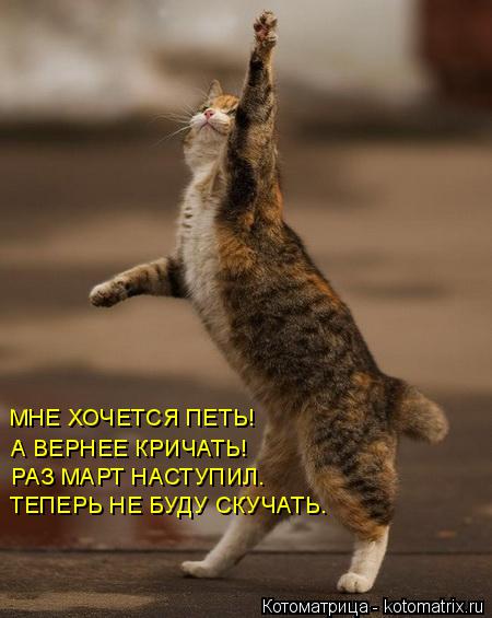 Котоматрица: РАЗ МАРТ НАСТУПИЛ. А ВЕРНЕЕ КРИЧАТЬ! МНЕ ХОЧЕТСЯ ПЕТЬ! ТЕПЕРЬ НЕ БУДУ СКУЧАТЬ.