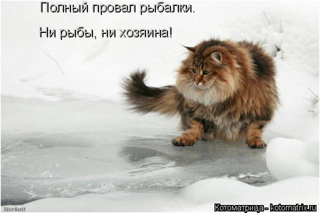 Полный провал рыбалки. Ни рыбы, ни хозяина!... Котоматрица: Полный провал рыбалки. Ни рыбы, ни хозяина!