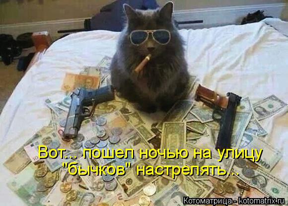 Котоматрица: Вот... пошел ночью на улицу  "бычков" настрелять...