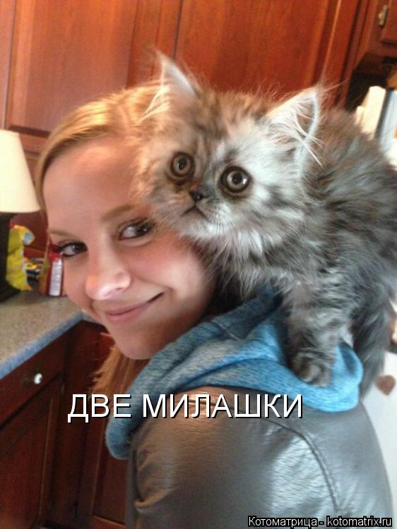 Котоматрица: ДВЕ МИЛАШКИ