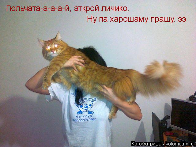 Гюльчата-а-а-а-й, аткрой личико. Ну па харошаму прашу. ээ... Котоматрица: Гюльчата-а-а-а-й, аткрой личико. Ну па харошаму прашу. ээ