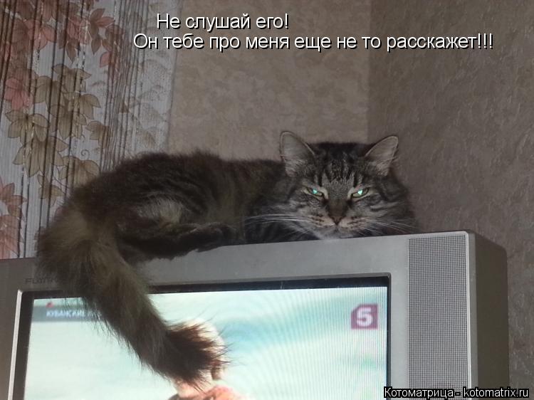 Котоматрица: Не слушай его! Он тебе про меня еще не то расскажет!!!