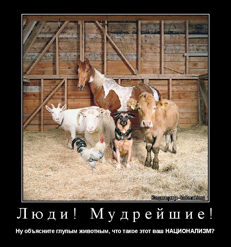 Люди! Мудрейшие! Ну объясните глупым животным, что такое этот ваш НАЦИОНАЛИЗМ?... Котоматрица: Люди! Мудрейшие! Ну объясните глупым животным, что такое этот ваш НАЦИОНАЛИЗМ?