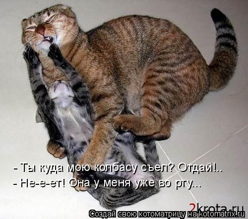 - Ты куда мою колбасу съел? Отдай!.. - Не-е-ет! Она у меня уже во рту...... Котоматрица: - Ты куда мою колбасу съел? Отдай!.. - Не-е-ет! Она у меня уже во рту...