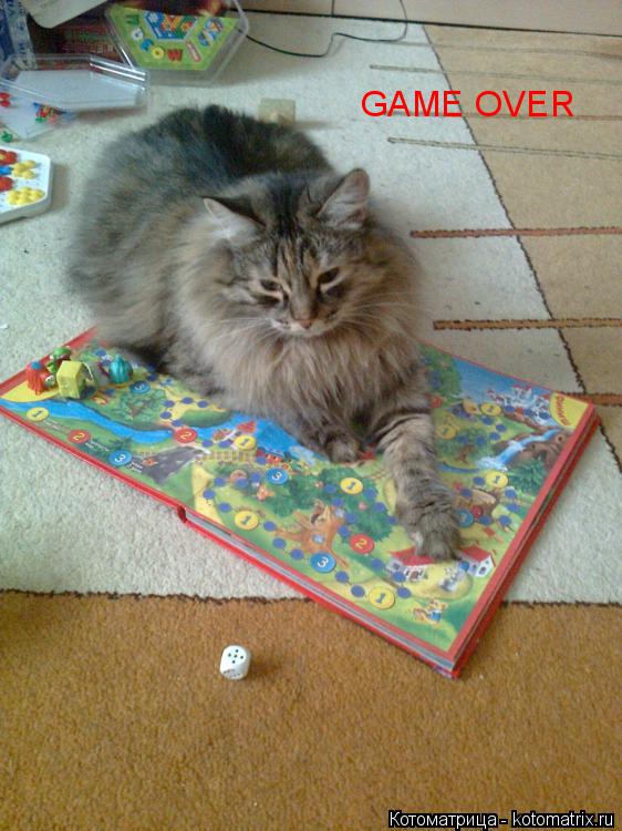 GAME OVER... Котоматрица: GAME OVER