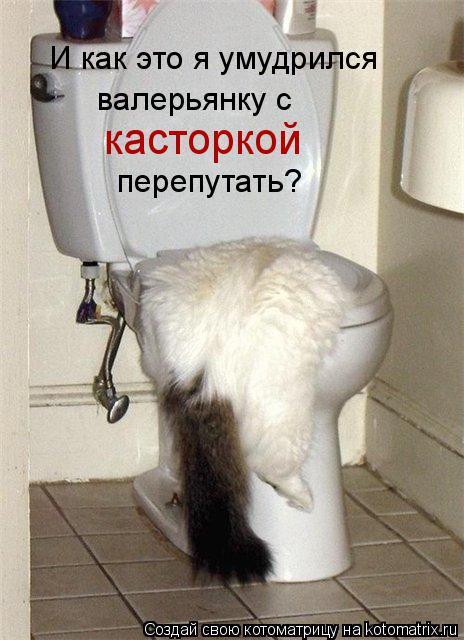 И как это я умудрился валерьянку с касторкой перепутать?... Котоматрица: И как это я умудрился валерьянку с касторкой перепутать?